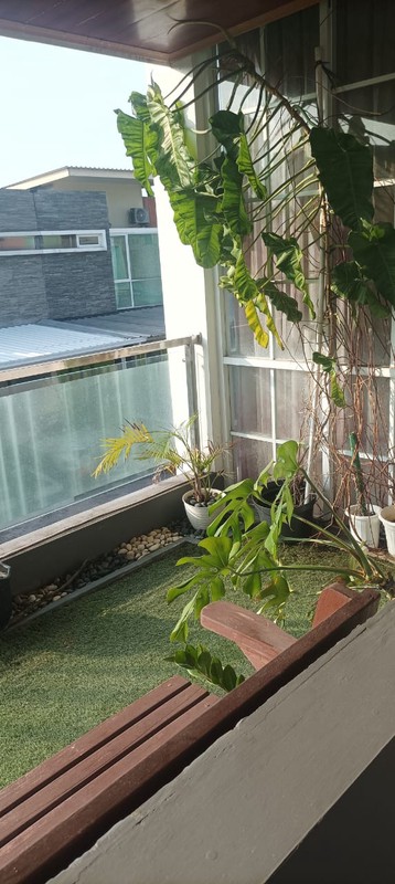 Rumah Bagus Siap Huni dengan Hunian Nyaman dan Asri @Cipocok, Serang Banten