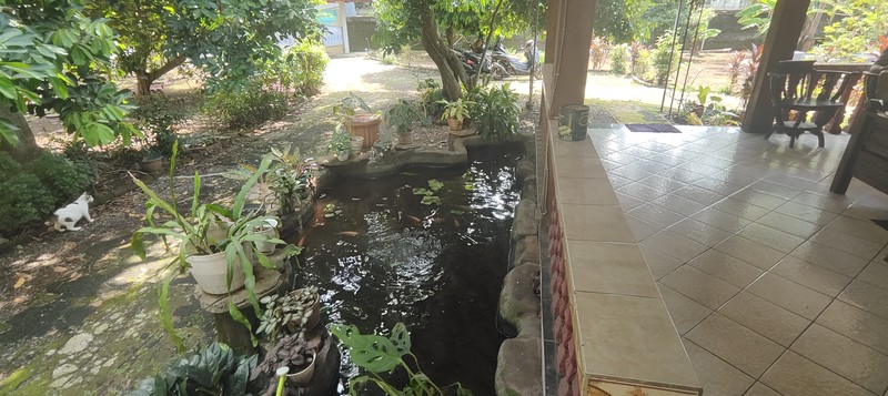 Dijual Tanah + Rumah Besar 1.838 m2,  Cocok Bangun CLUSTER / TOWNHOUSE di Jaka Setia, Bekasi Selatan