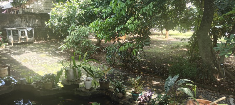 Dijual Tanah + Rumah Besar 1.838 m2,  Cocok Bangun CLUSTER / TOWNHOUSE di Jaka Setia, Bekasi Selatan