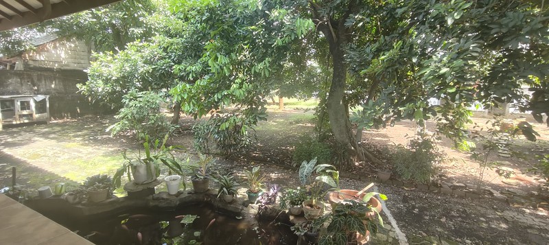 Dijual Tanah + Rumah Besar 1.838 m2,  Cocok Bangun CLUSTER / TOWNHOUSE di Jaka Setia, Bekasi Selatan