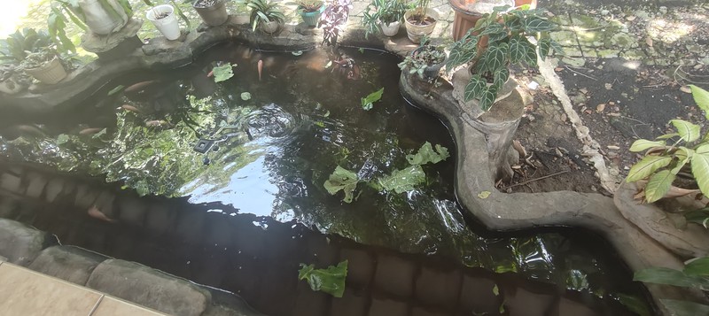 Dijual Tanah + Rumah Besar 1.838 m2,  Cocok Bangun CLUSTER / TOWNHOUSE di Jaka Setia, Bekasi Selatan