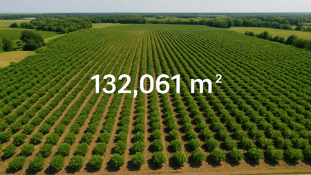 DIJUAL - Kebun Desa Cikanyere Luas 132.061m, Sukaresmi - Cianjur Jawa Barat