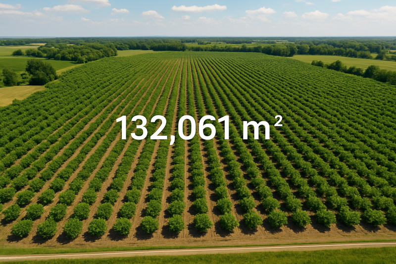 DIJUAL - Kebun Desa Cikanyere Luas 132.061m, Sukaresmi - Cianjur Jawa Barat