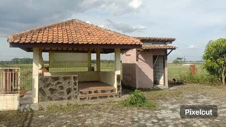 KAVLING TANAH RATA 1000 sqm BAGUS UK USAHA PERIKANAN PERTANIAN 