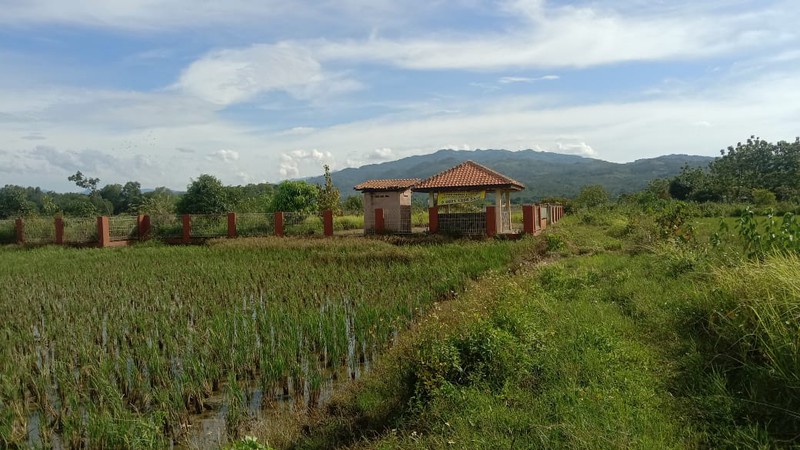 KAVLING TANAH RATA 1000 sqm BAGUS UK USAHA PERIKANAN PERTANIAN 