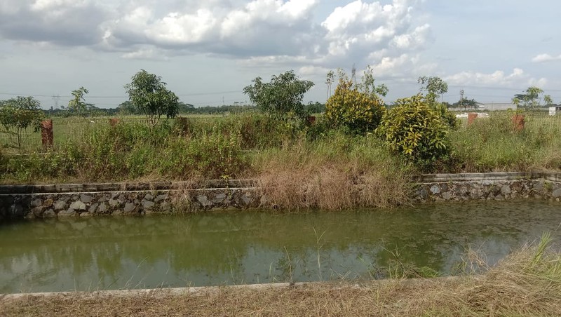 KAVLING TANAH RATA 1000 sqm BAGUS UK USAHA PERIKANAN PERTANIAN 