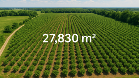 DIJUAL - Kebun Desa Cikanyere Luas 27.830m Sukaresmi - Cianjur Jawa Barat