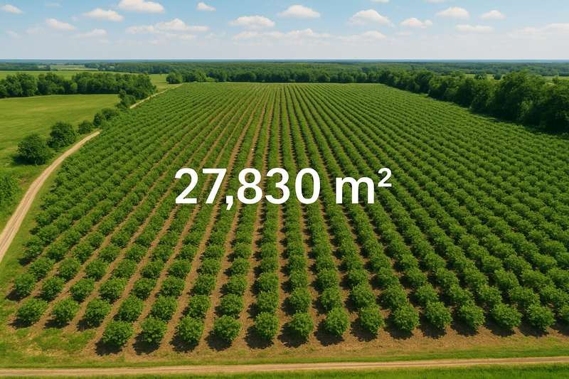 DIJUAL - Kebun Desa Cikanyere Luas 27.830m Sukaresmi - Cianjur Jawa Barat