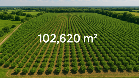 DIJUAL - Kebun Desa Cikanyere Luas 102.620m Sukaresmi - Cianjur Jawa Barat