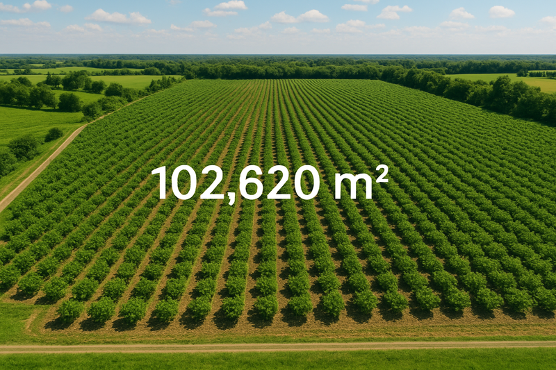 DIJUAL - Kebun Desa Cikanyere Luas 102.620m Sukaresmi - Cianjur Jawa Barat