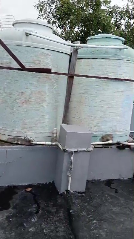 Ruko 4 Lantai di Jalan Gedong Panjang Raya Jakarta Utara