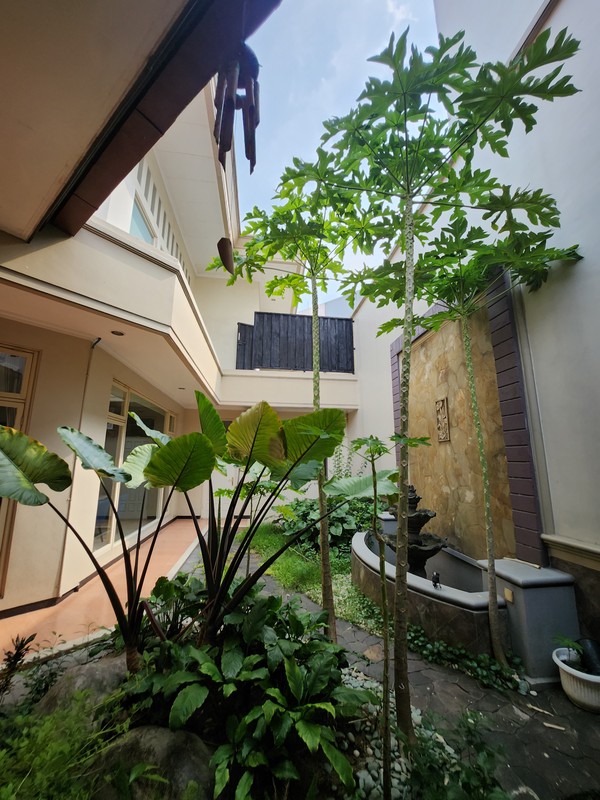 Disewakan Rumah Taman Hunian Satelit - Sukomanunggal Plus Private Pool / Kolam Renang + Full Furnished Dekat Chofa, Isen,, Rs Mitra Keluarga, Sma Gloria