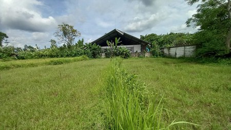 Tanah Sawah Lokasi Dekat Kawasan Wisata Kopi Klothok - Ngemplak Sleman 