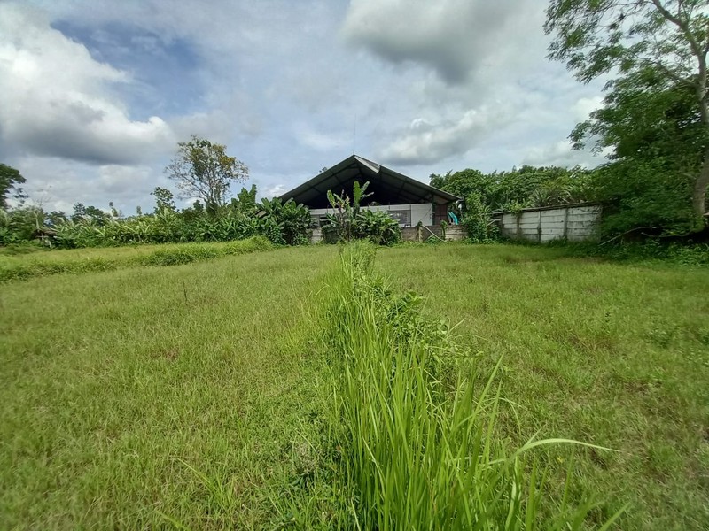 Tanah Sawah Lokasi Dekat Kawasan Wisata Kopi Klothok - Ngemplak Sleman 