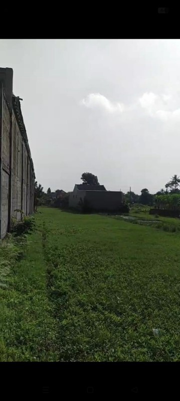 Tanah sawah dijual di jalan Barongan kawasan canden Jetis bantul. 