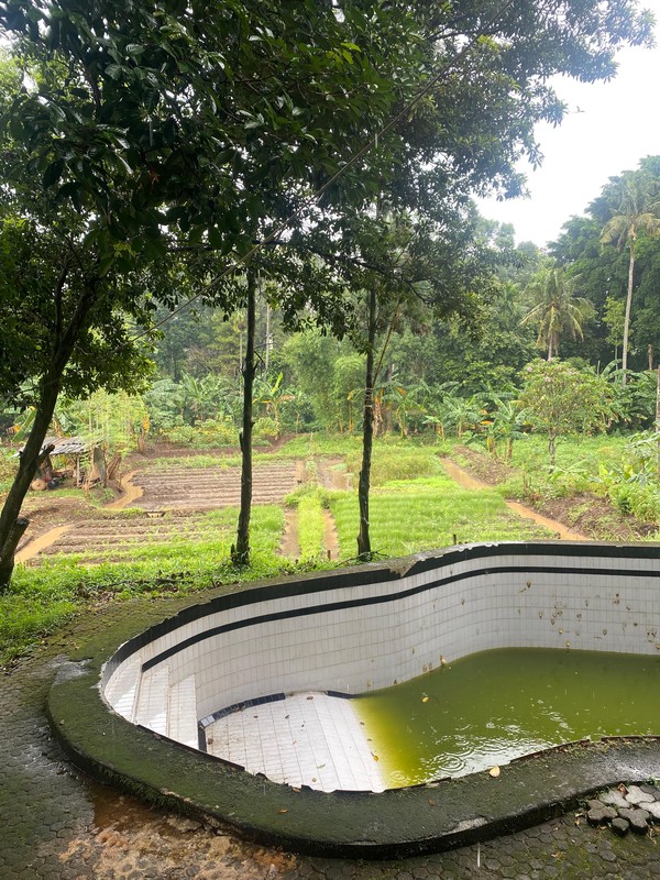 Lahan 2100 m2 di Limo Depok - Potensial untuk Villa, Hunian, atau Investasi