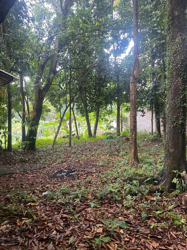 Lahan 2100 m2 di Limo Depok - Potensial untuk Villa, Hunian, atau Investasi