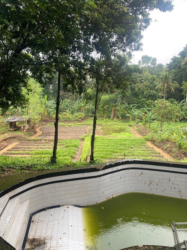 Lahan 2100 m2 di Limo Depok - Potensial untuk Villa, Hunian, atau Investasi