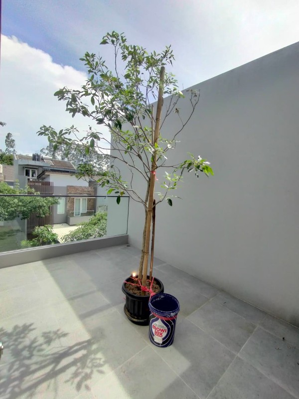 Rumah BRAND NEW di THE GREEN BSD City, Dekat Tol dan Stasiun