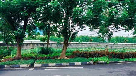 Tanah Dijual Kenjeran Mulyorejo Surabaya Timur Nol Jalan 