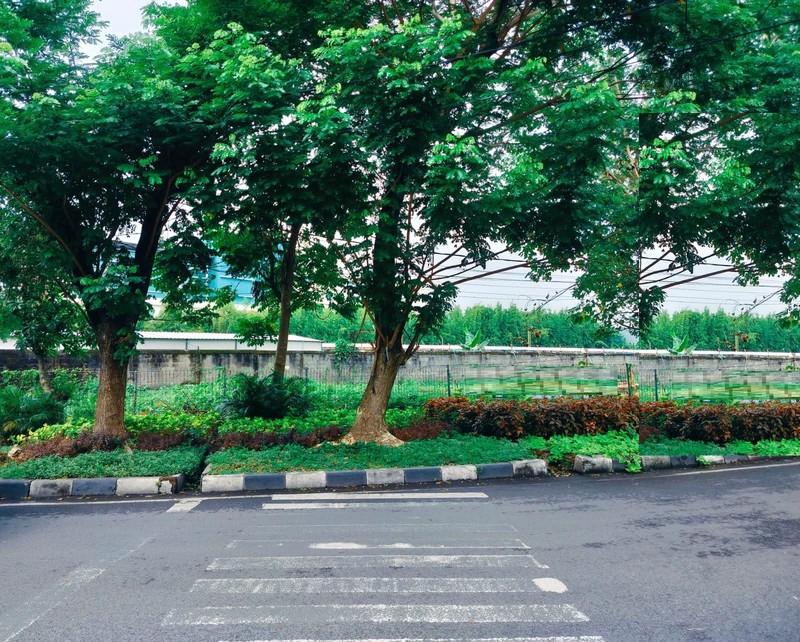 Tanah Dijual Kenjeran Mulyorejo Surabaya Timur Nol Jalan 