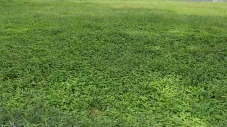 1995 Jual Tanah Kavling Strategis di Purimas Gianyar Rungkut Surabaya Timur 