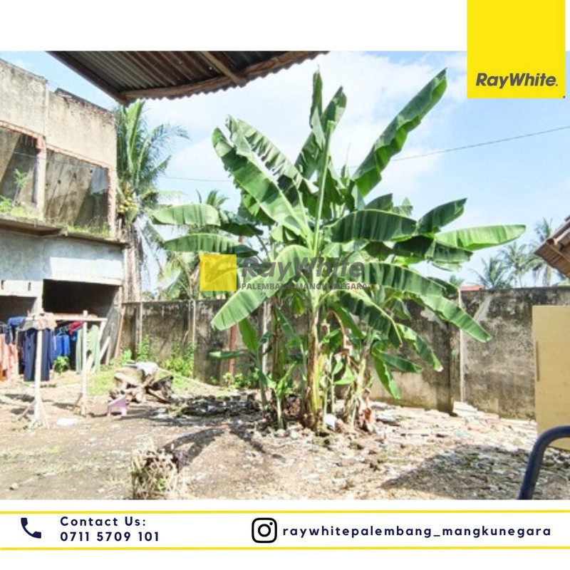 DIJUAL RUMAH DAN KONTRAKAN LOKASI STRATEGIS