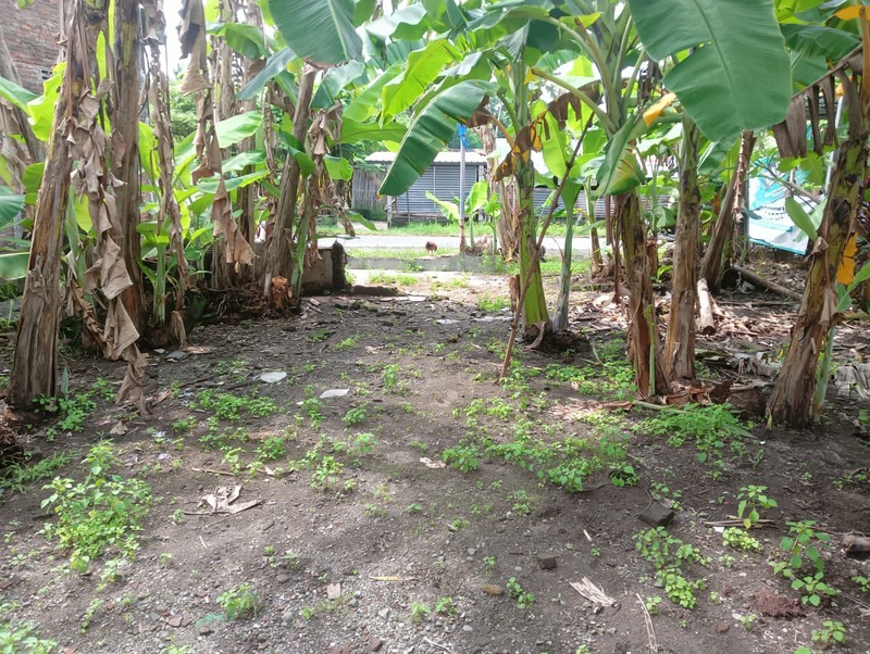 Jual Cepat Rumah Siap Huni Strategis di Klegen, Sewon, Bantul