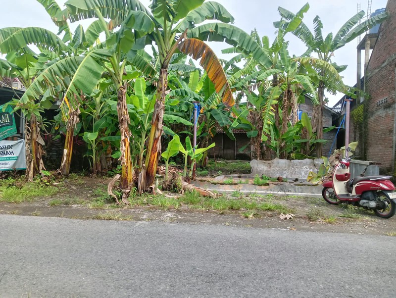 Jual Cepat Rumah Siap Huni Strategis di Klegen, Sewon, Bantul