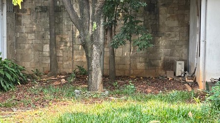 Lokasi Emas! Rumah Dijual di Cempaka Putih Tengah dengan Penawaran Menarik