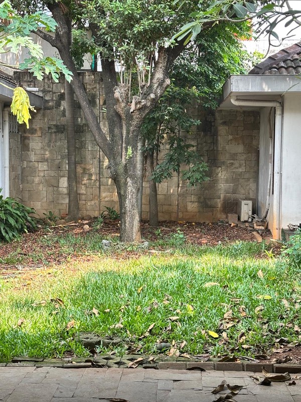 Lokasi Emas! Rumah Dijual di Cempaka Putih Tengah dengan Penawaran Menarik