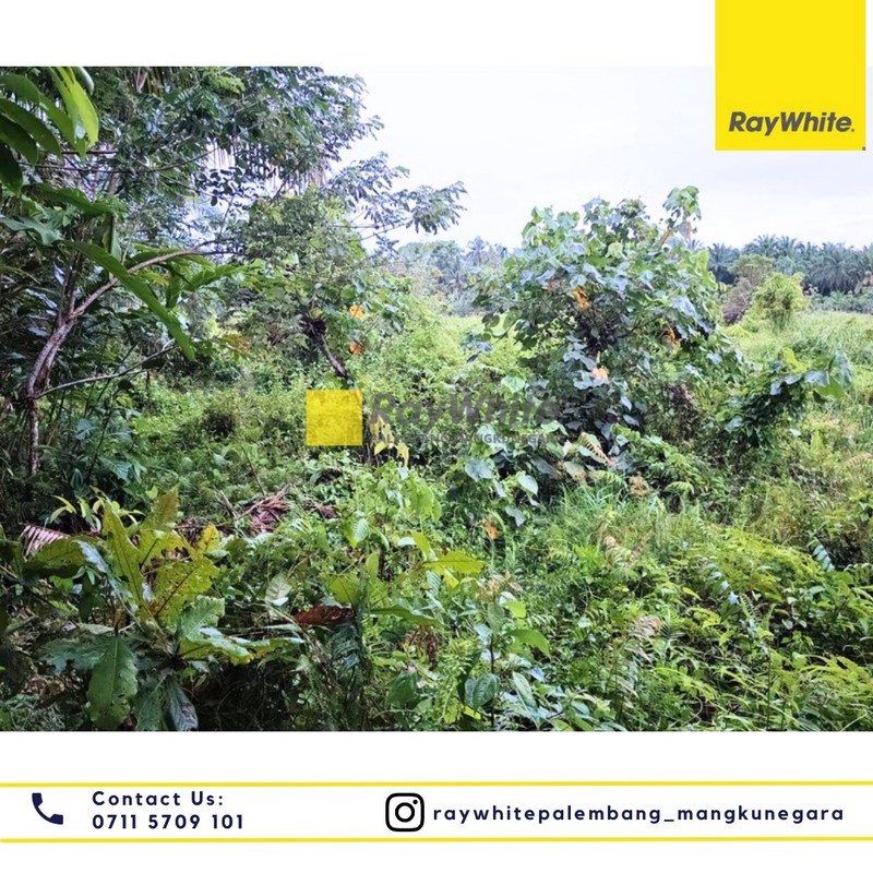 tanah jual cepat kota bengkulu 