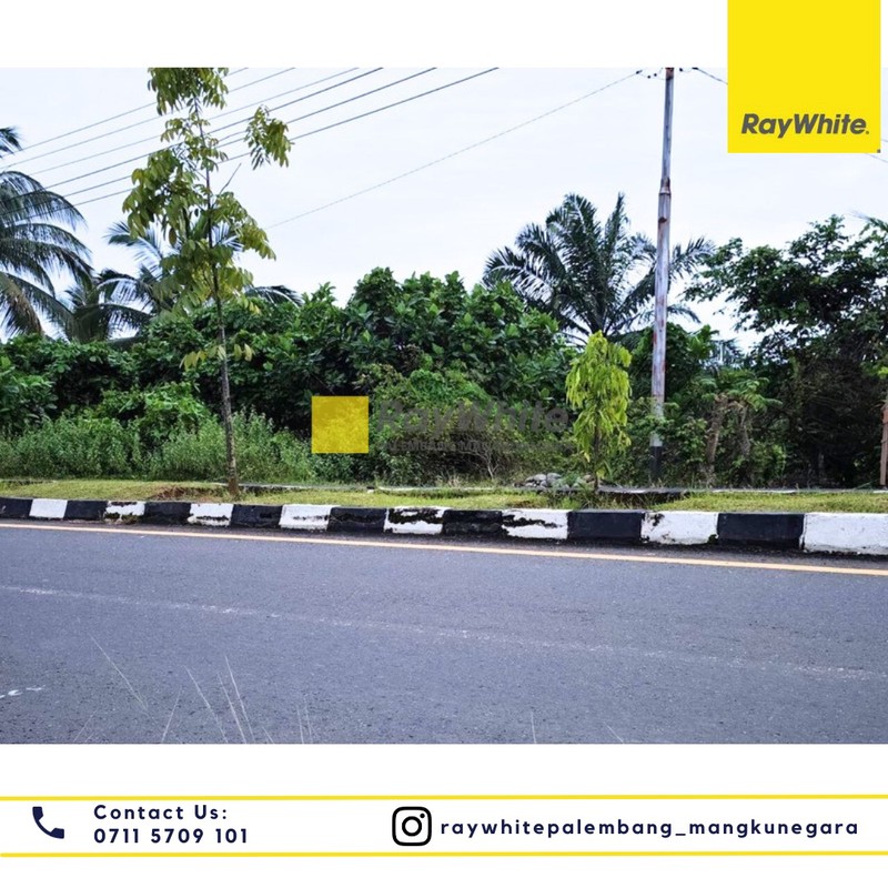 tanah jual cepat kota bengkulu 