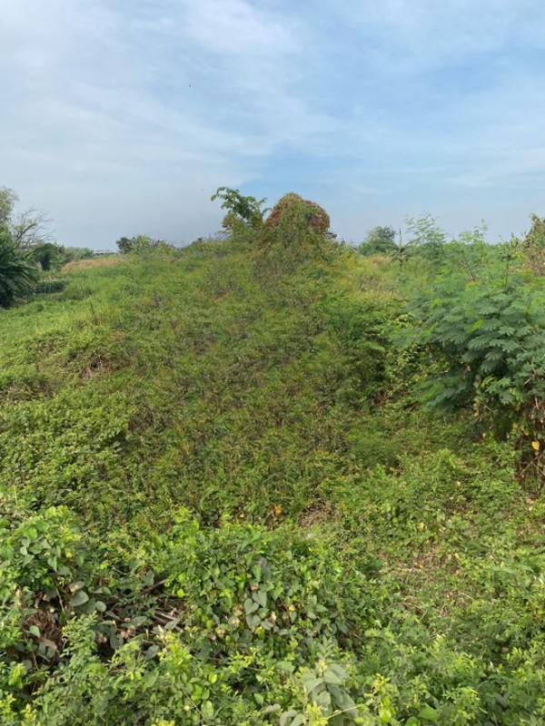 DIJUAL TANAH Jl  Geger Kec Cerme Kab Gresik - Jawa Timur