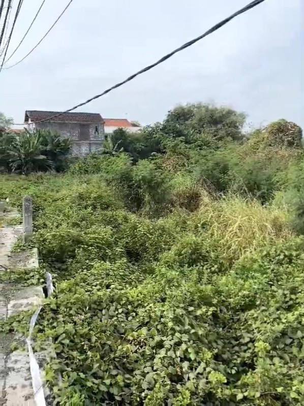 DIJUAL TANAH Jl  Geger Kec Cerme Kab Gresik - Jawa Timur