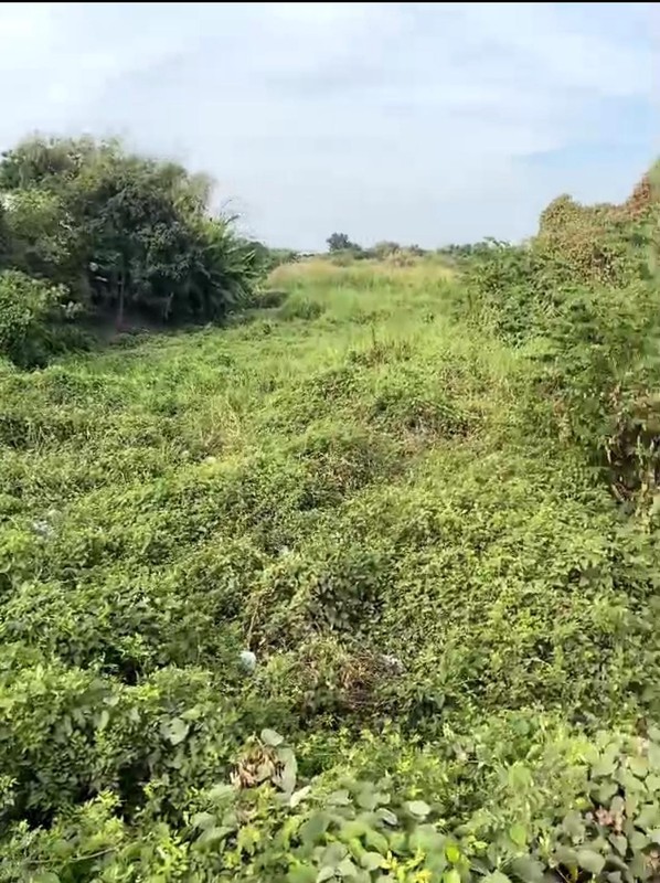 DIJUAL TANAH Jl  Geger Kec Cerme Kab Gresik - Jawa Timur