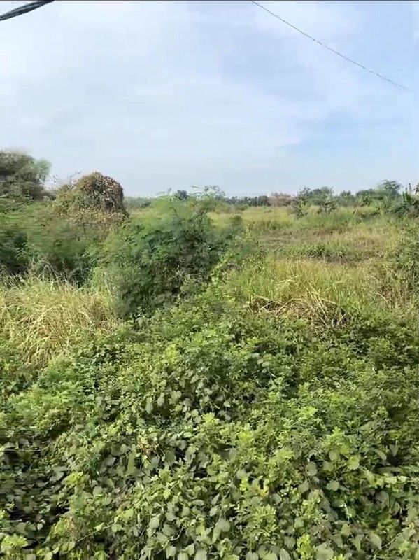 DIJUAL TANAH Jl  Geger Kec Cerme Kab Gresik - Jawa Timur