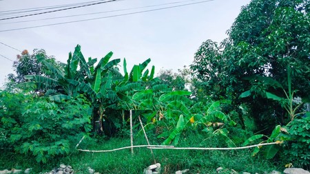 Tanah Dijual Dukuh Kuwukan Sambikerep Surabaya Barat 