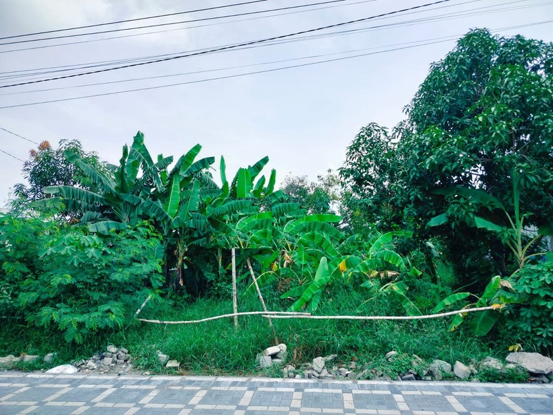 Tanah Dijual Dukuh Kuwukan Sambikerep Surabaya Barat 