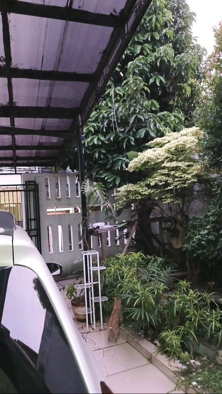 Rumah Bagus, 2 Lantai, Lokasi strategis di Pesanggrahan