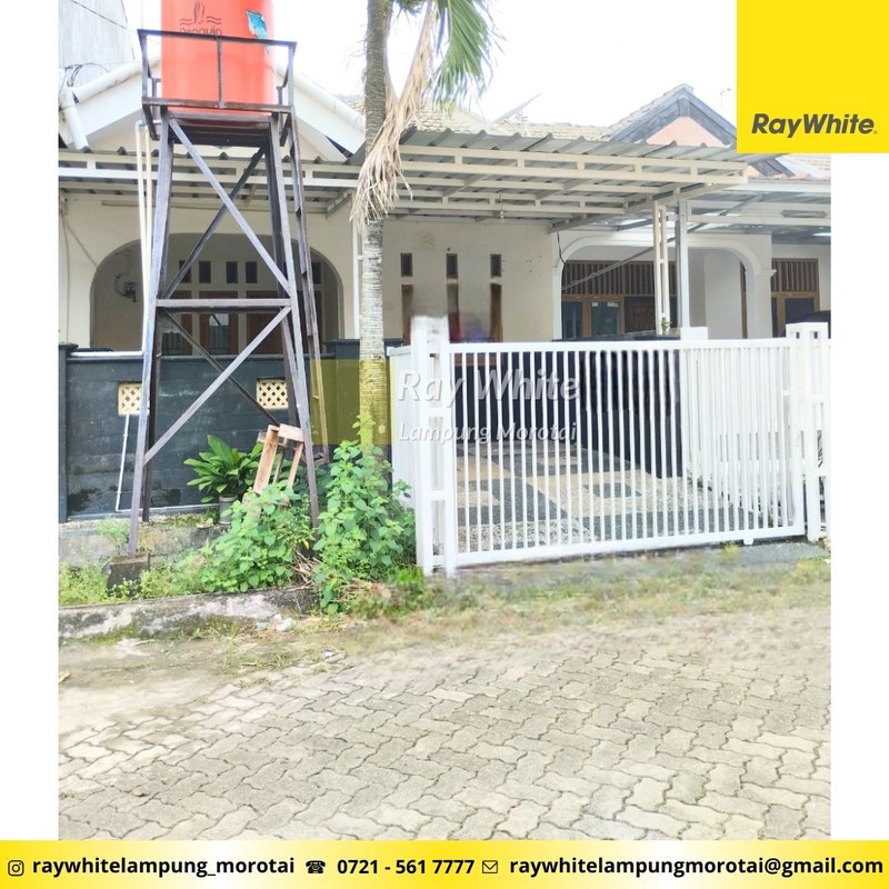 32 JUTA NEGO DISEWAKAN RUMAH PULAU MOROTAI ANTASARI BANDAR LAMPUNG