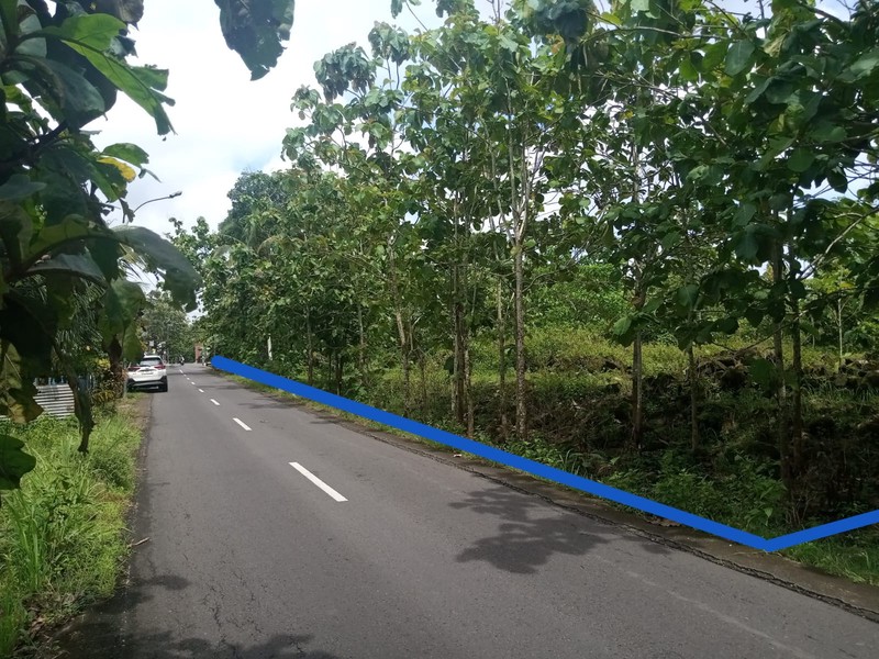 Dijual Tanah 2840 Meter Persegi Lokasi Strategis Simpang Empat Duwet (Jalan Baron Km 4), Wonosari, Gunungkidul