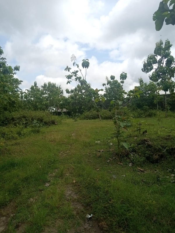 Dijual Tanah 2840 Meter Persegi Lokasi Strategis Simpang Empat Duwet (Jalan Baron Km 4), Wonosari, Gunungkidul