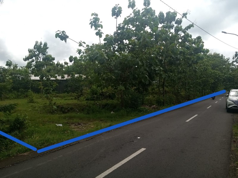 Dijual Tanah 2840 Meter Persegi Lokasi Strategis Simpang Empat Duwet (Jalan Baron Km 4), Wonosari, Gunungkidul