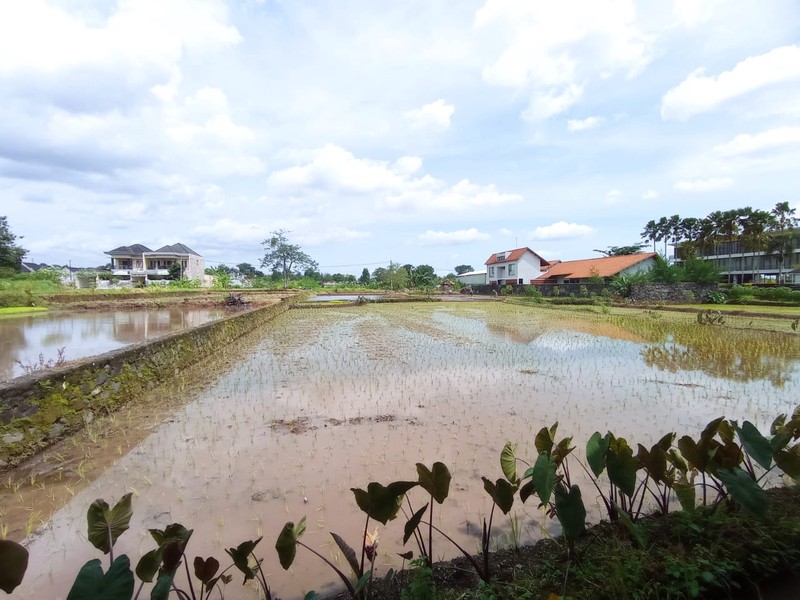 Disewakan Ruang Usaha Cocok Untuk Resto Siap Pakai, Umbul Permai, Ngaglik