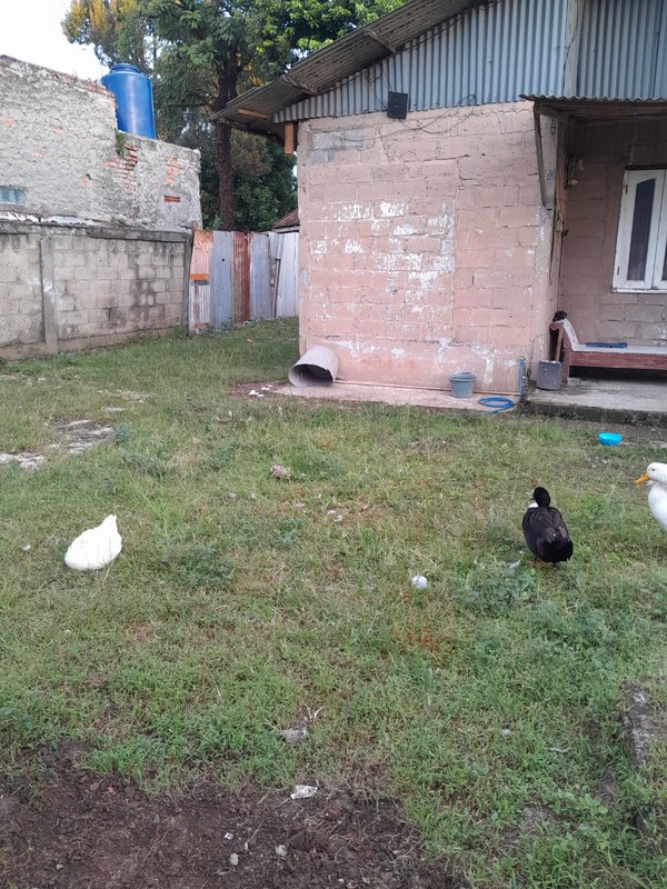 Kavling Siap Bangun Di Jl Kalimantan Jombang Pondok Aren Tangerang Selatan