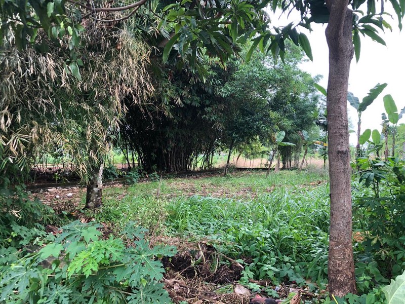 Kavling Siap Bangun Di Jl Tidore, Gg Pendidikan Pondok Aren Tangerang Selatan