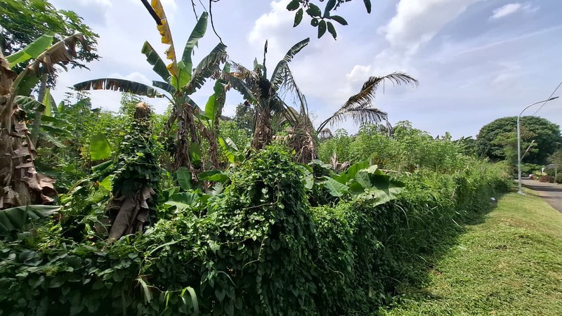Tanah Kavling di Kawasan Premium Cocok Utk Usaha atau Hunian di Sukasari Bandung