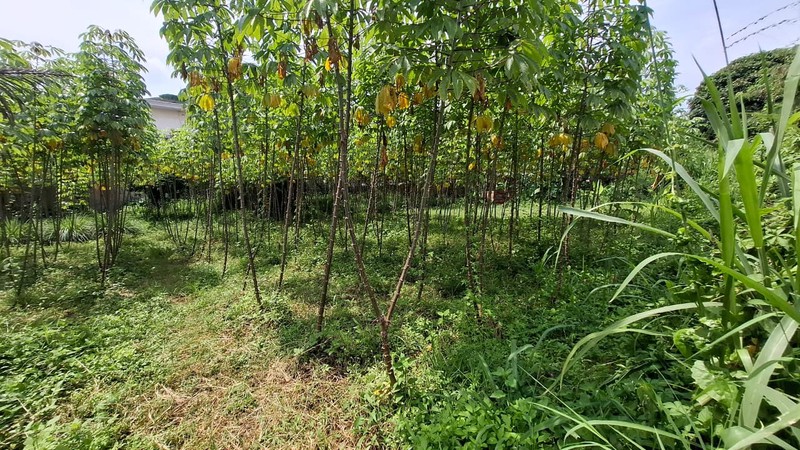 Tanah Kavling di Kawasan Premium Cocok Utk Usaha atau Hunian di Sukasari Bandung