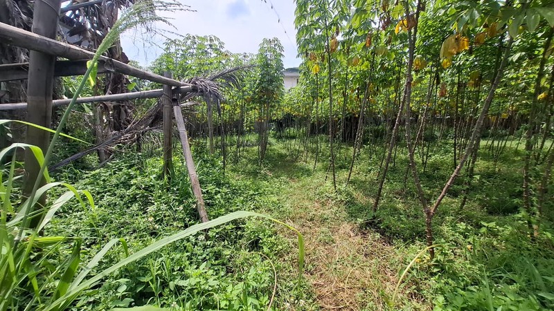 Tanah Kavling di Kawasan Premium Cocok Utk Usaha atau Hunian di Sukasari Bandung